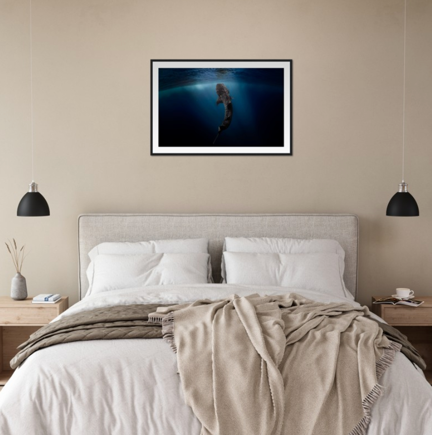 WHALE SHARK EATING AT THE SURFACE - WOODEN FRAME