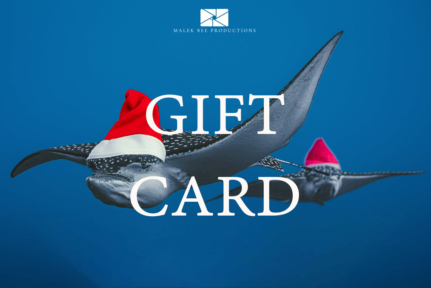 2026 GIFT CARD