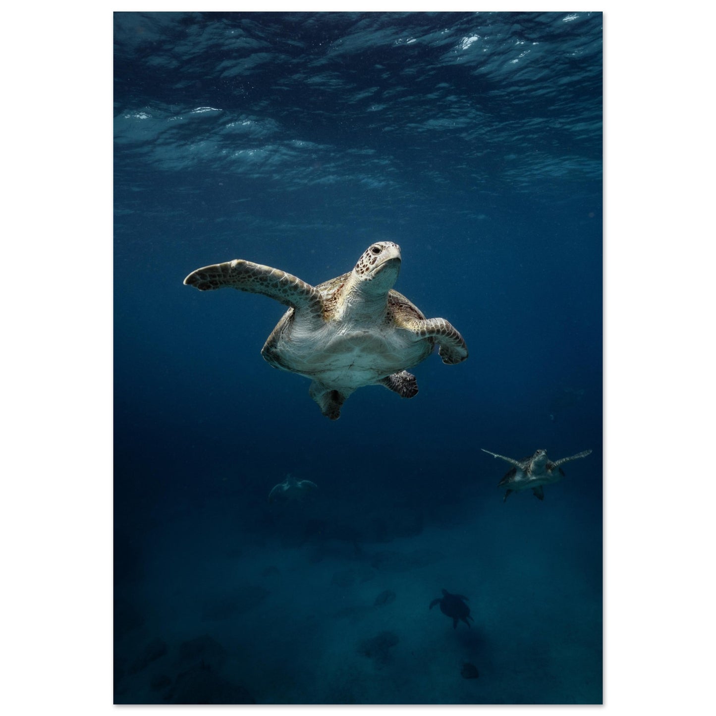ONE FOR ALL - TURTLE ODYSSEY - MATTE POSTER