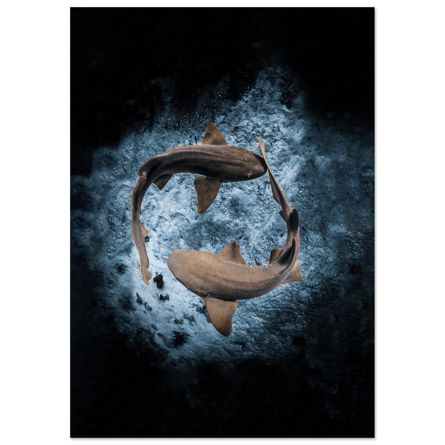 2023 AWARD WINNER - YING YANG NURSE SHARS - MATTE POSTER