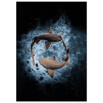 2023 AWARD WINNER - YING YANG NURSE SHARS - MATTE POSTER