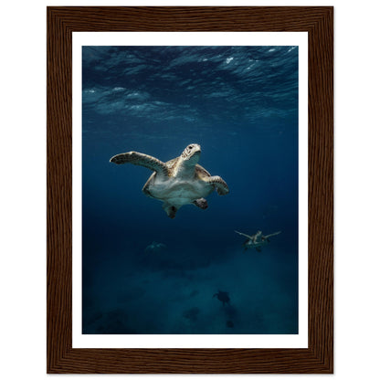 ONE FOR ALL - TURTLE ODYSSEY - WOODEN FRAME