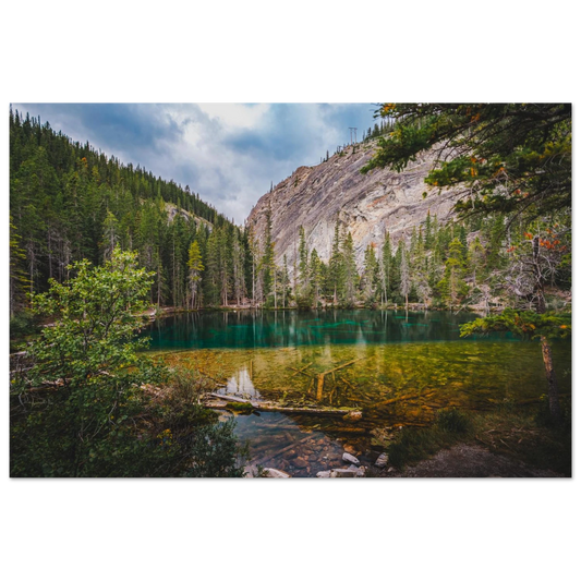 0ae71288-c475-4be0-ad61-8206bf053096