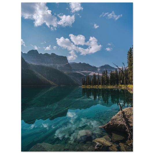 0de411c6-4c23-474b-9453-21a179ba565a