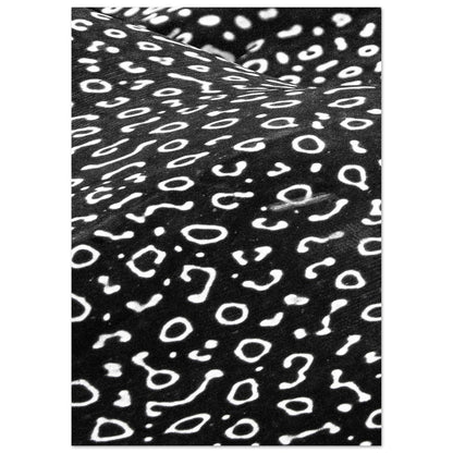 AWARD WINNER 2023 - SPOTTED EAGLE RAY PATTERN - MATTE POSTER