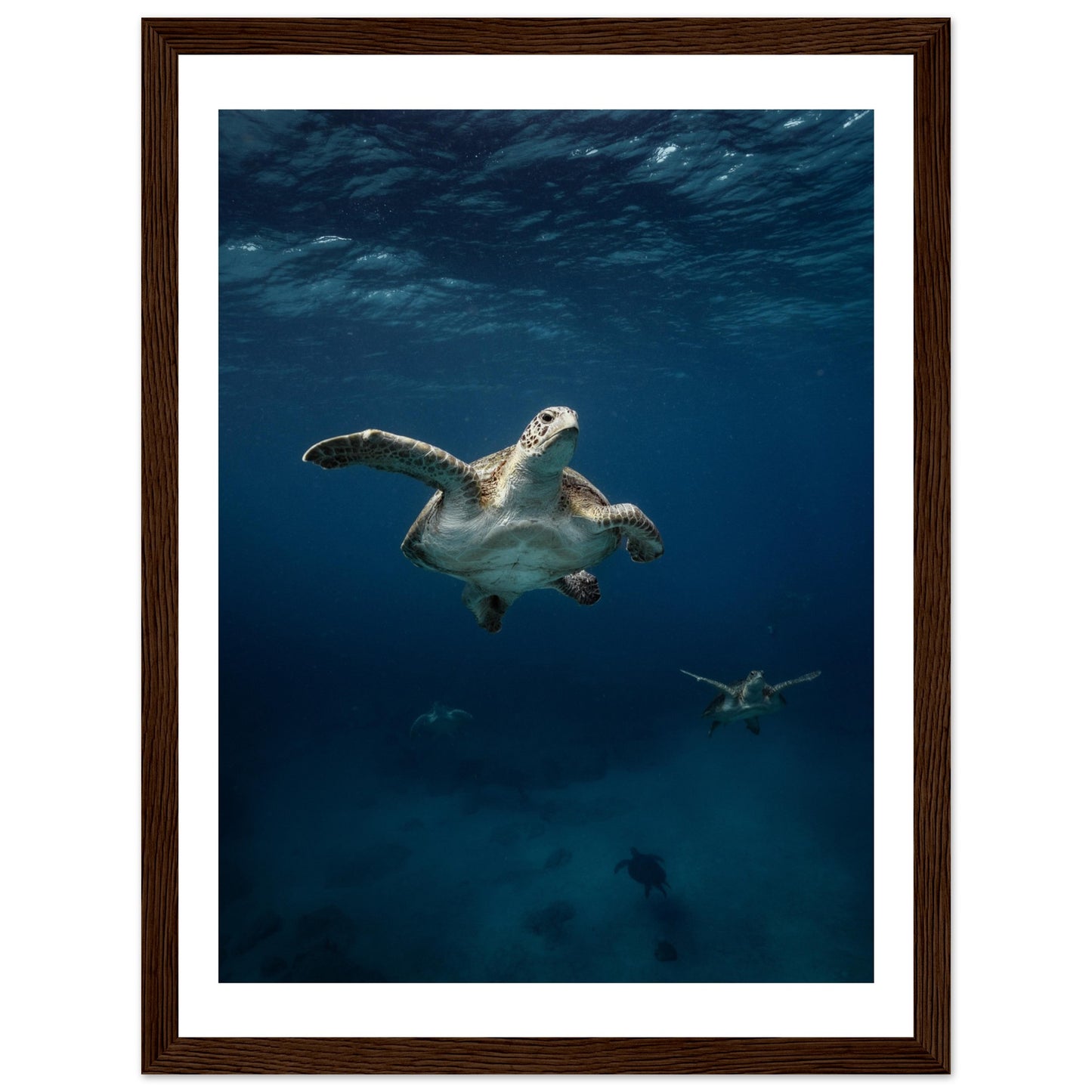ONE FOR ALL - TURTLE ODYSSEY - WOODEN FRAME