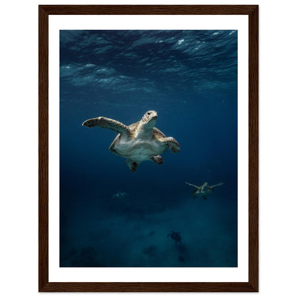 ONE FOR ALL - TURTLE ODYSSEY - WOODEN FRAME
