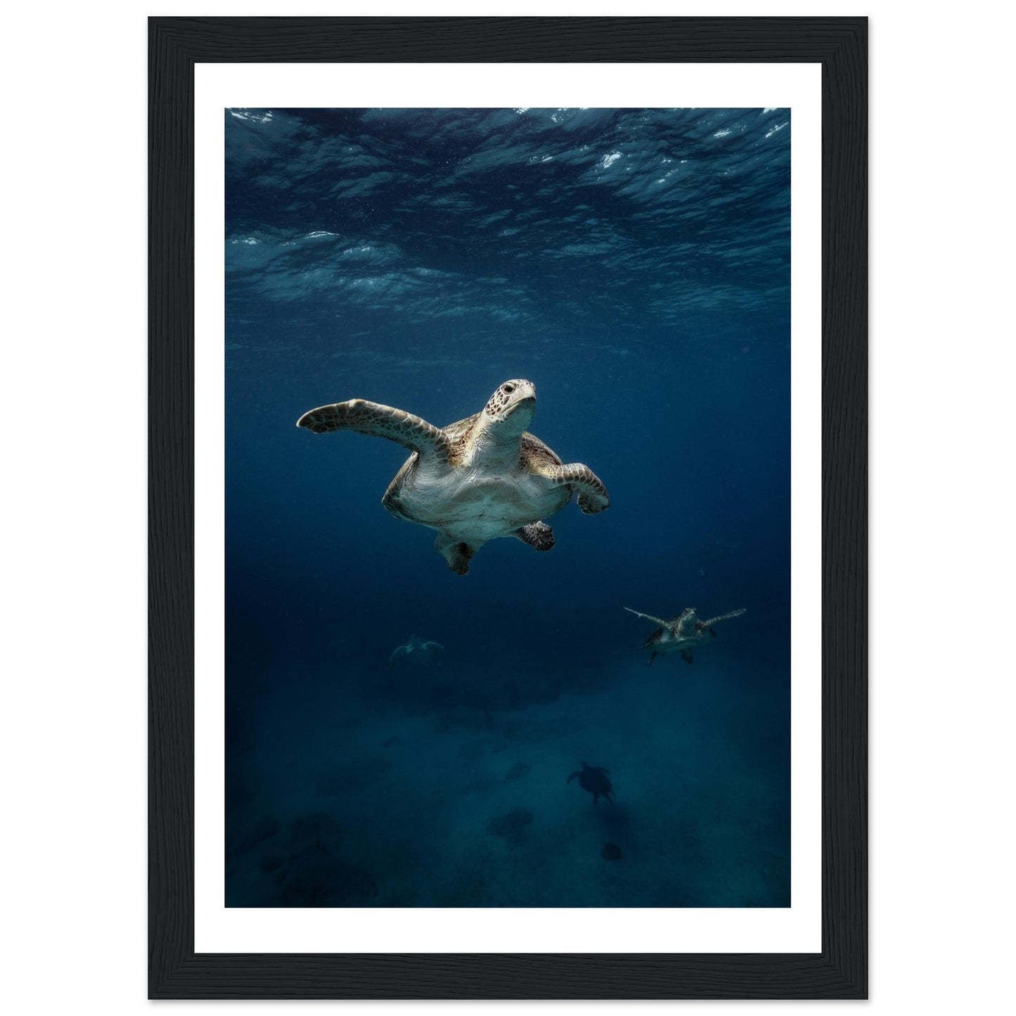 ONE FOR ALL - TURTLE ODYSSEY - WOODEN FRAME