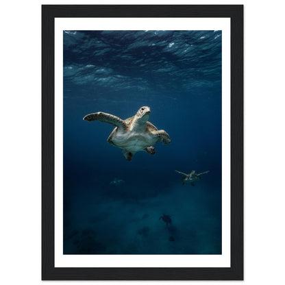 ONE FOR ALL - TURTLE ODYSSEY - WOODEN FRAME