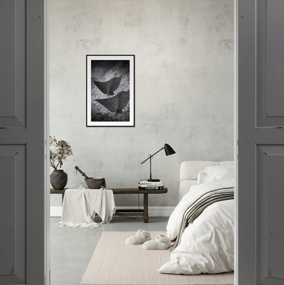 SPOTTED EAGLE RAY SQUAD - WOODEN FRAME