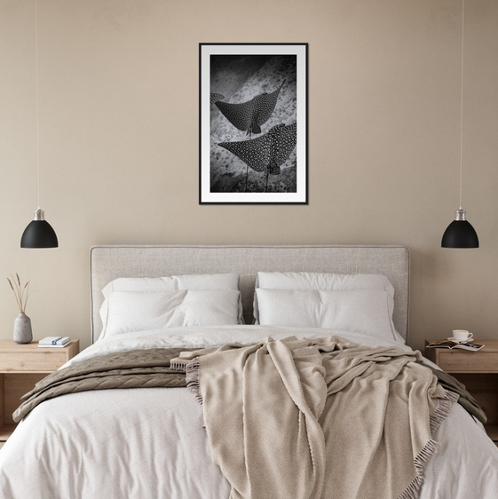 SPOTTED EAGLE RAY SQUAD - WOODEN FRAME