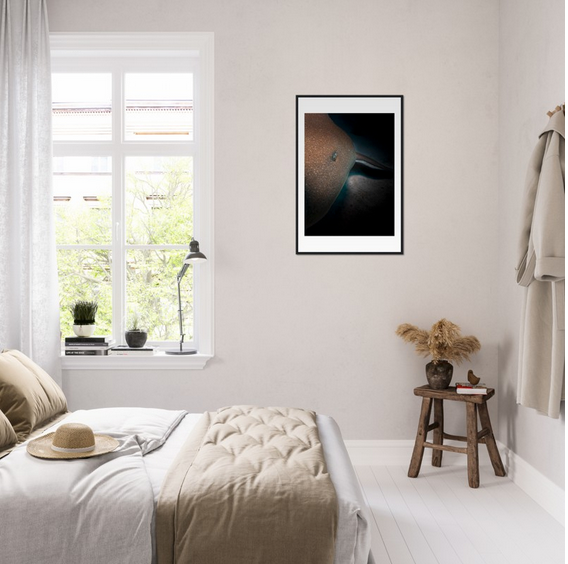 SLEEPING NURSE SHARK - WOODEN FRAME