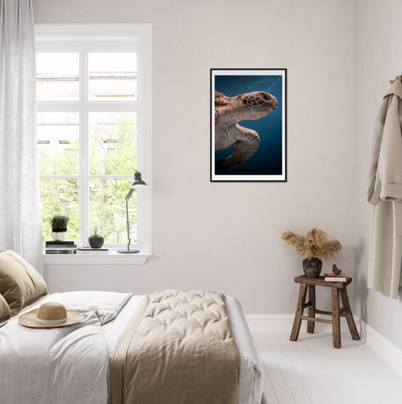 BENEATH A TURTLE - WOODEN FRAME