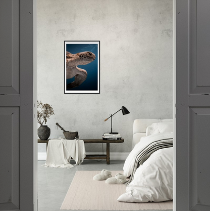 BENEATH A TURTLE - WOODEN FRAME