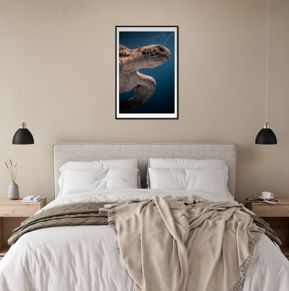 BENEATH A TURTLE - WOODEN FRAME