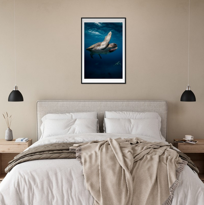 MATING SEA TURTLES - WOODEN FRAME