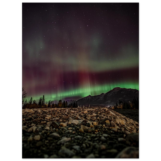 2329f807-94db-429e-a9eb-0f6a3f8c6c84