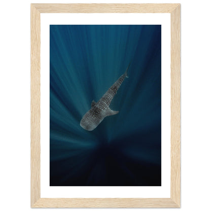 WHALE SHARK IN THE DARKNESS - WOODEN FRAME