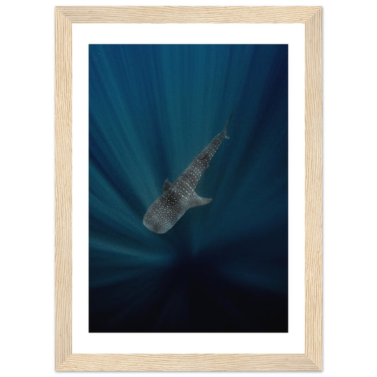 WHALE SHARK IN THE DARKNESS - WOODEN FRAME