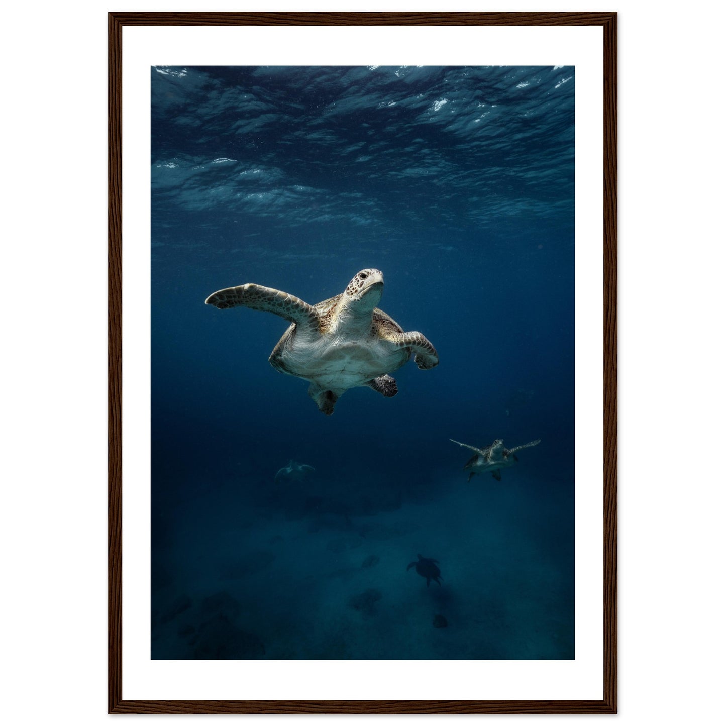 ONE FOR ALL - TURTLE ODYSSEY - WOODEN FRAME