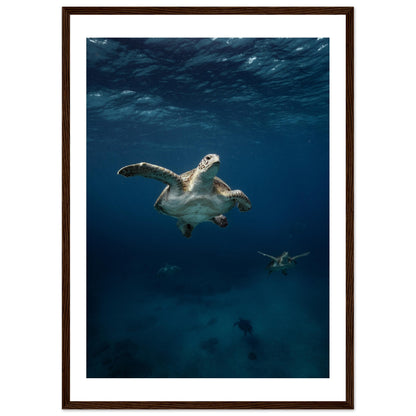 ONE FOR ALL - TURTLE ODYSSEY - WOODEN FRAME