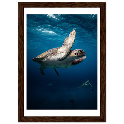 MATING SEA TURTLES - WOODEN FRAME