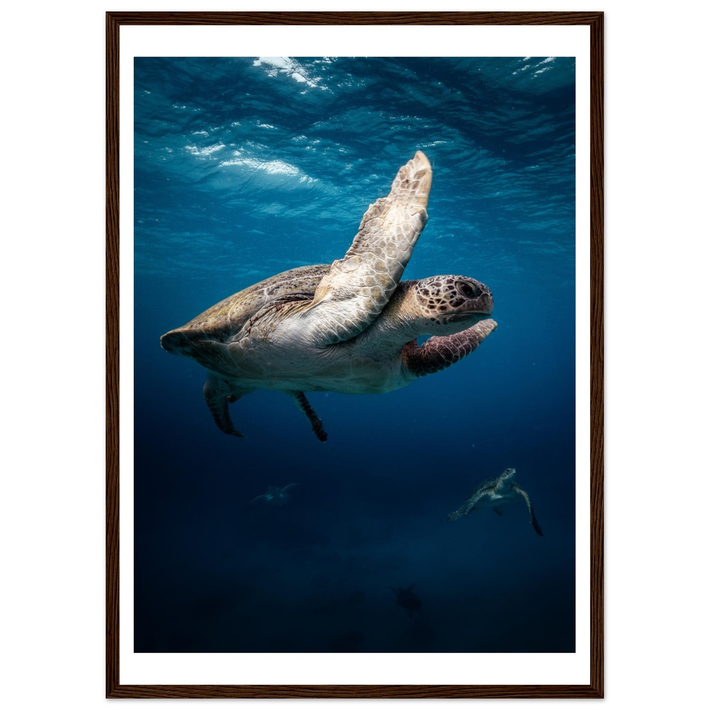 MATING SEA TURTLES - WOODEN FRAME