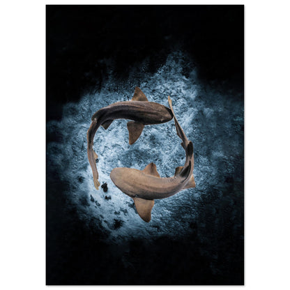 2023 AWARD WINNER - YING YANG NURSE SHARS - MATTE POSTER