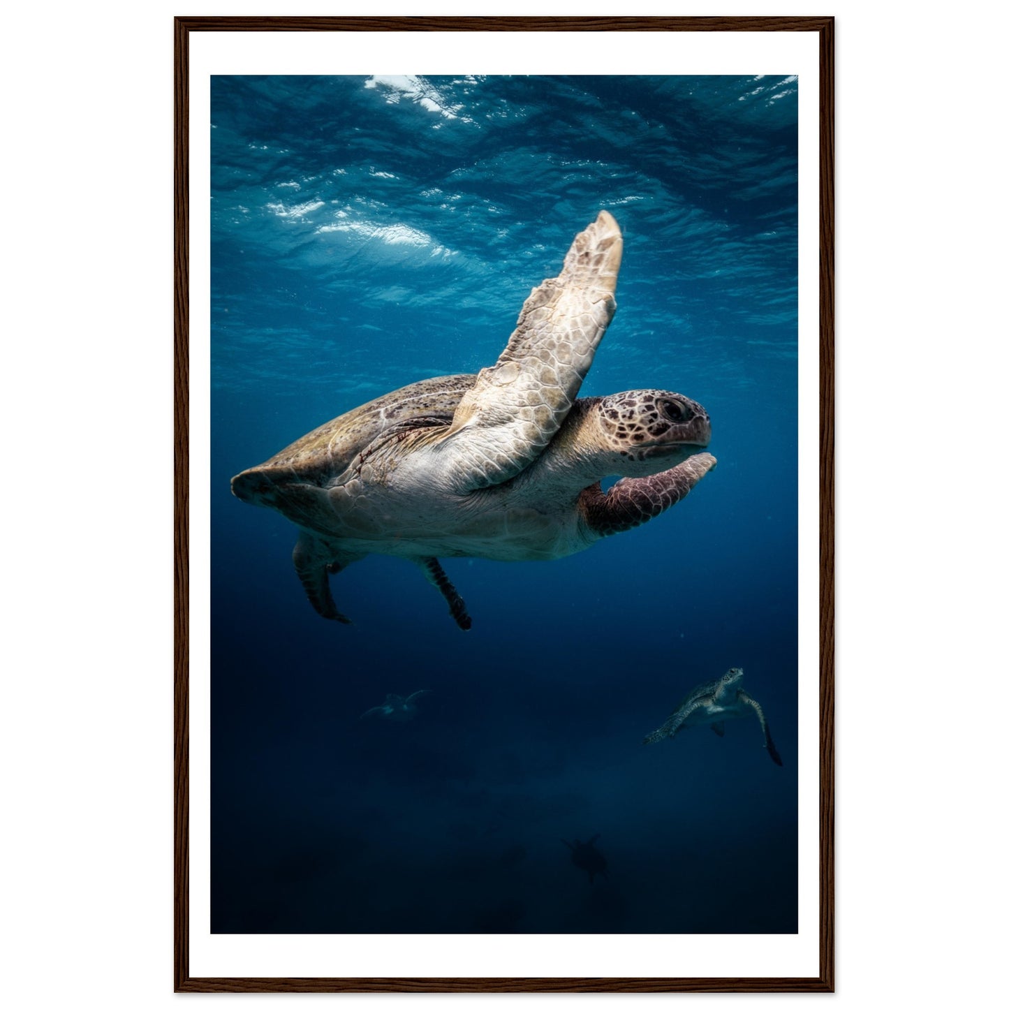 MATING SEA TURTLES - WOODEN FRAME