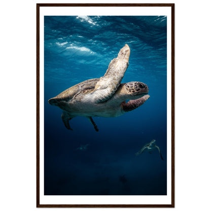 MATING SEA TURTLES - WOODEN FRAME