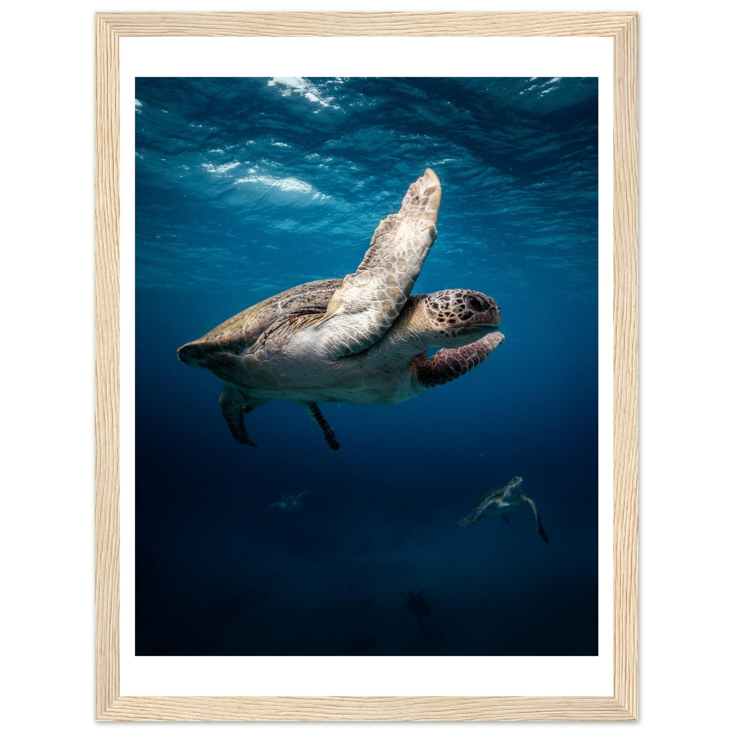 MATING SEA TURTLES - WOODEN FRAME