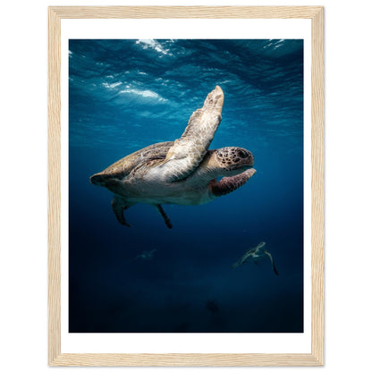 MATING SEA TURTLES - WOODEN FRAME