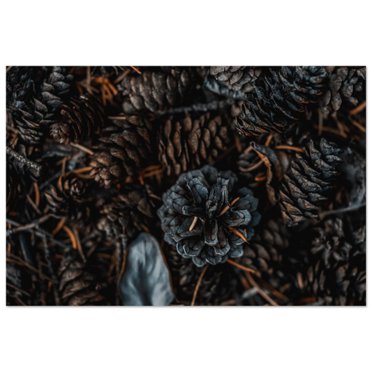 3d269baa-8425-40b9-b56d-e2348dc9a69d