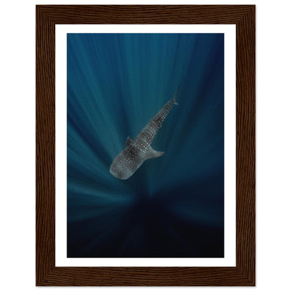 WHALE SHARK IN THE DARKNESS - WOODEN FRAME