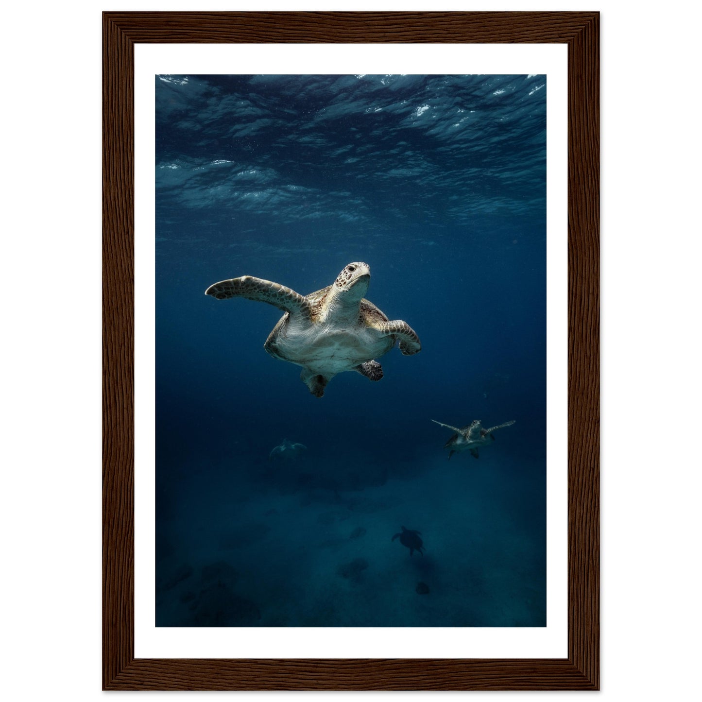ONE FOR ALL - TURTLE ODYSSEY - WOODEN FRAME