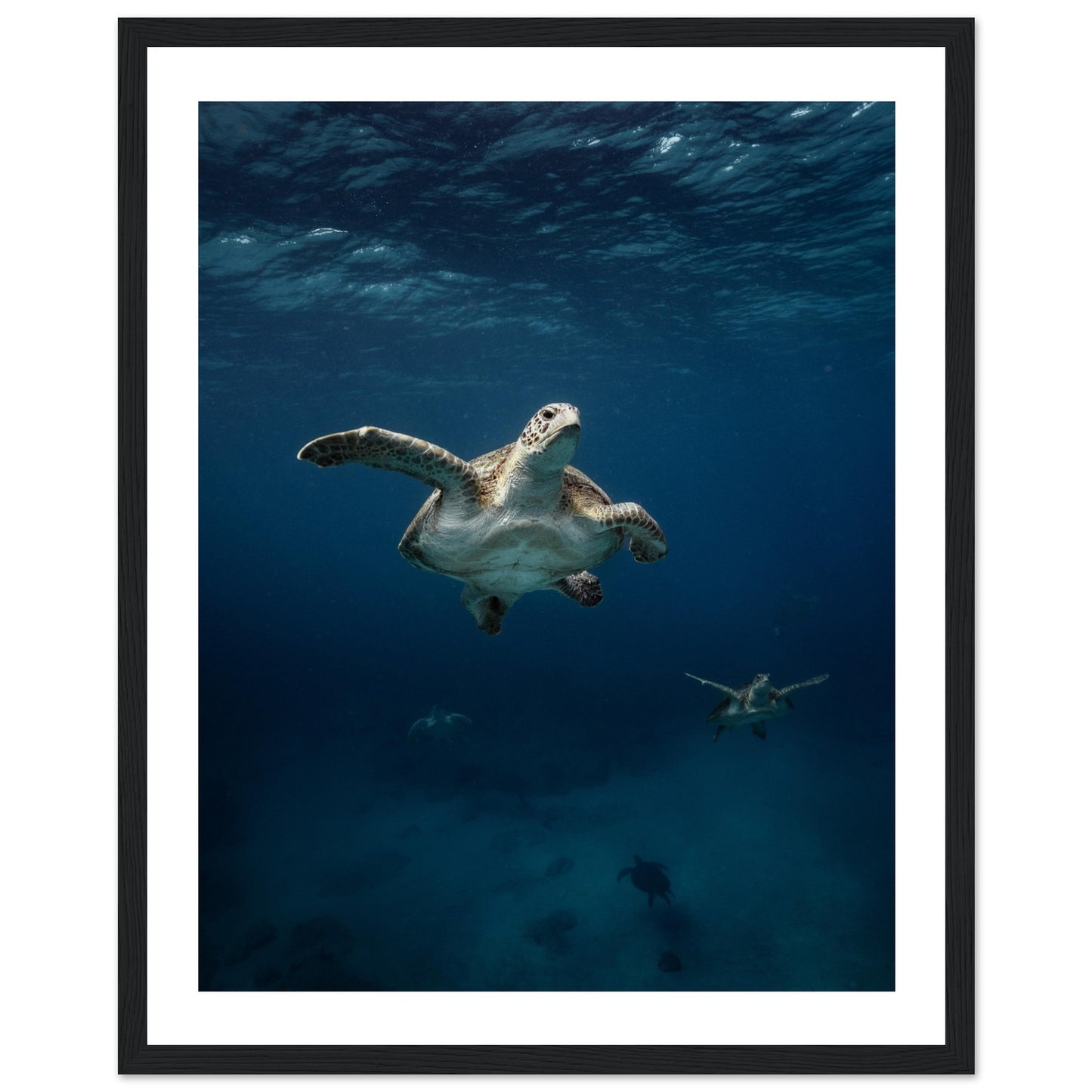 ONE FOR ALL - TURTLE ODYSSEY - WOODEN FRAME
