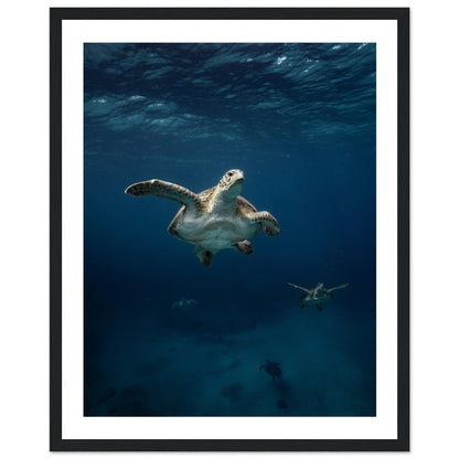 ONE FOR ALL - TURTLE ODYSSEY - WOODEN FRAME