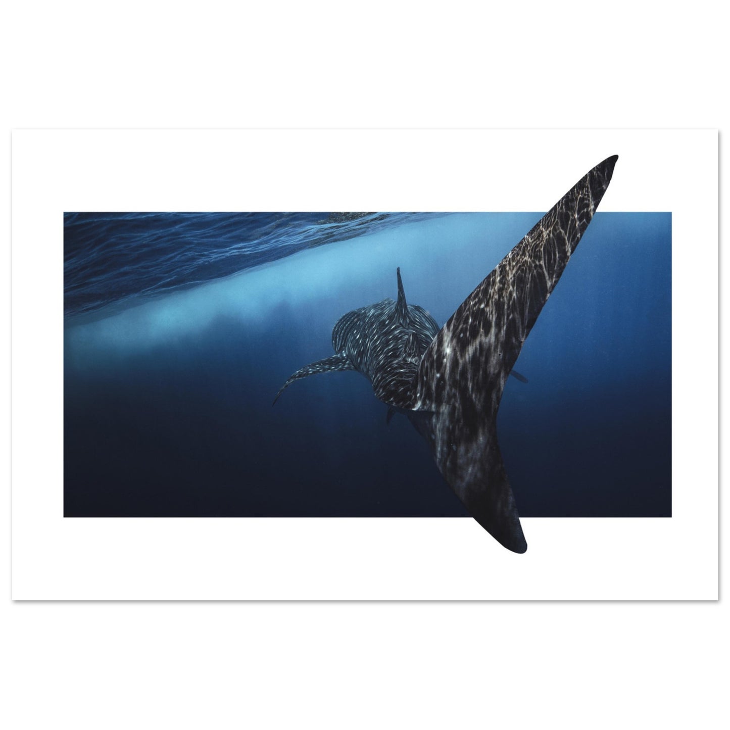 5b6f2273-6acb-4617-8291-413849f3a834