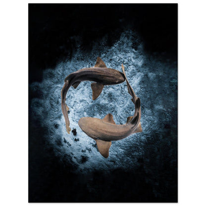 2023 AWARD WINNER - YING YANG NURSE SHARS - MATTE POSTER