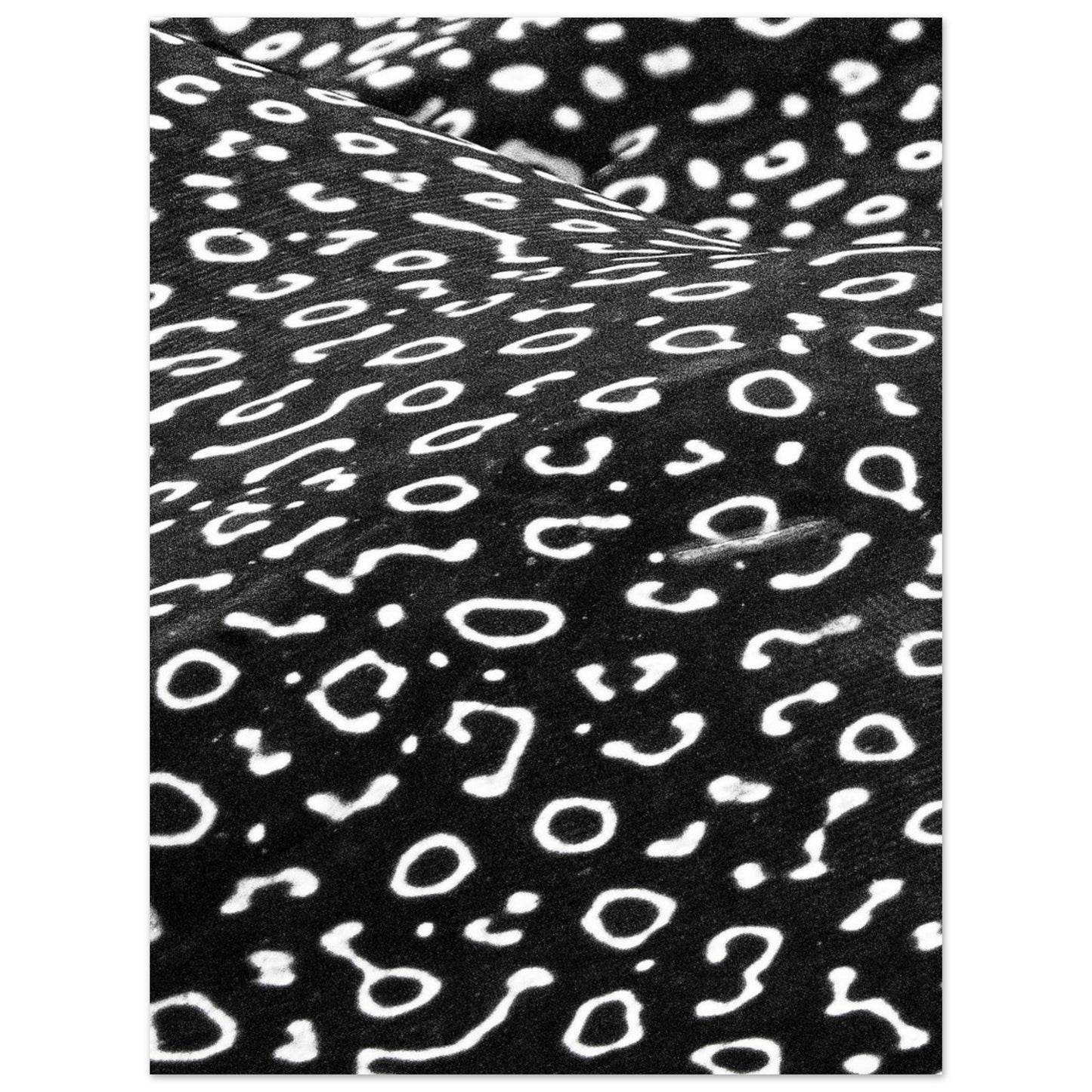 AWARD WINNER 2023 - SPOTTED EAGLE RAY PATTERN - MATTE POSTER