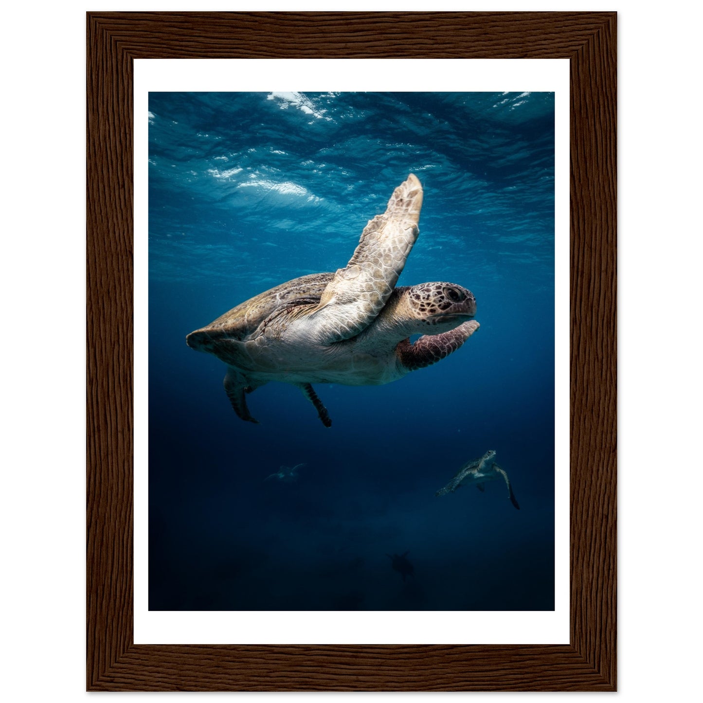 MATING SEA TURTLES - WOODEN FRAME