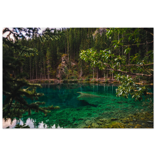 61fdb23f-dcad-4792-9d9b-300725a6b4b6