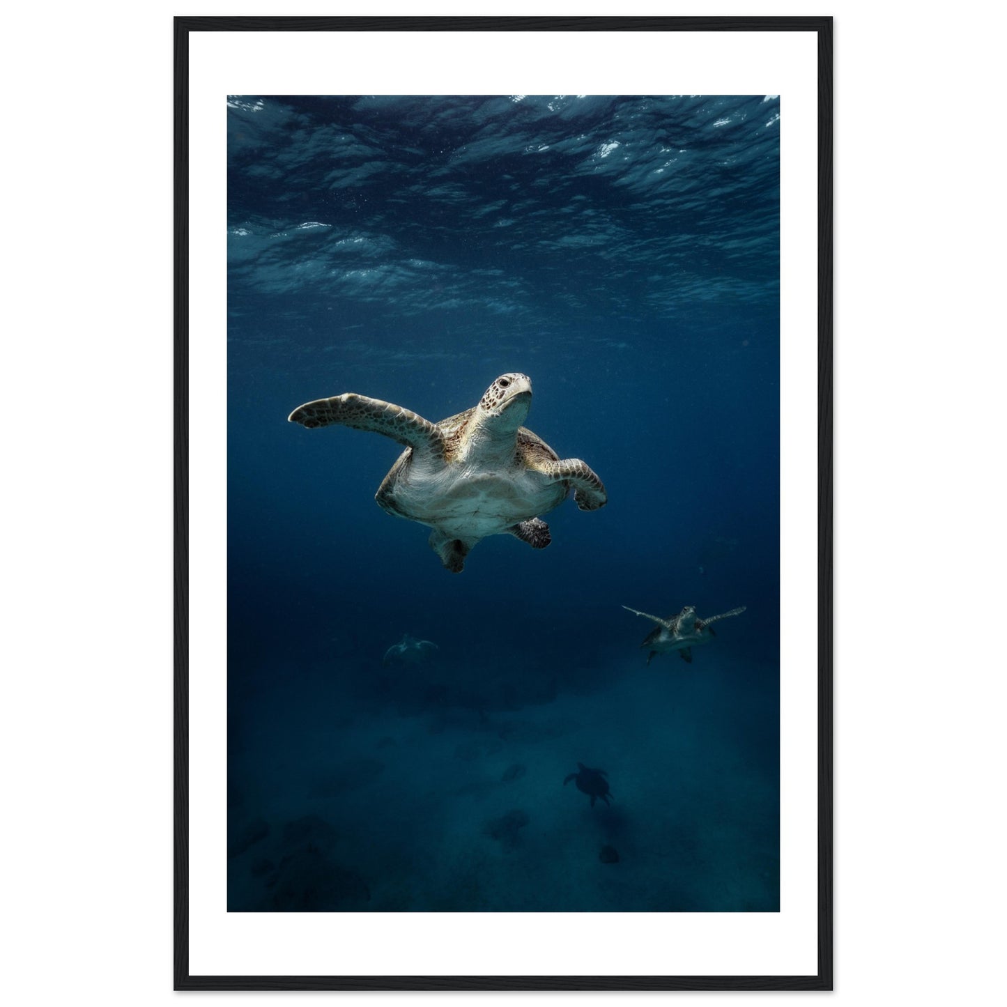 ONE FOR ALL - TURTLE ODYSSEY - WOODEN FRAME