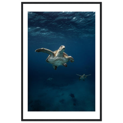 ONE FOR ALL - TURTLE ODYSSEY - WOODEN FRAME