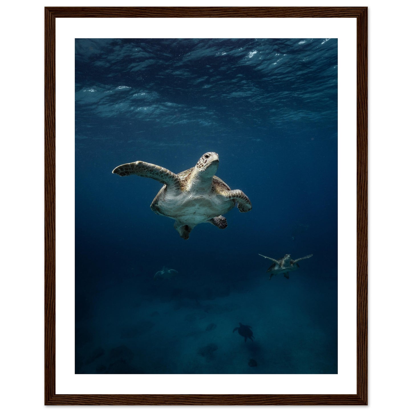ONE FOR ALL - TURTLE ODYSSEY - WOODEN FRAME