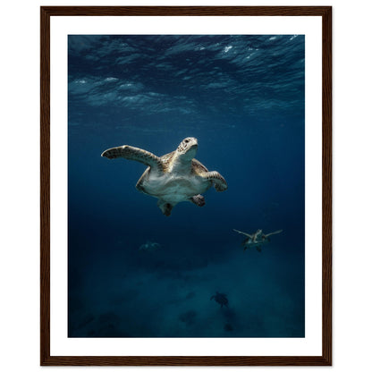 ONE FOR ALL - TURTLE ODYSSEY - WOODEN FRAME