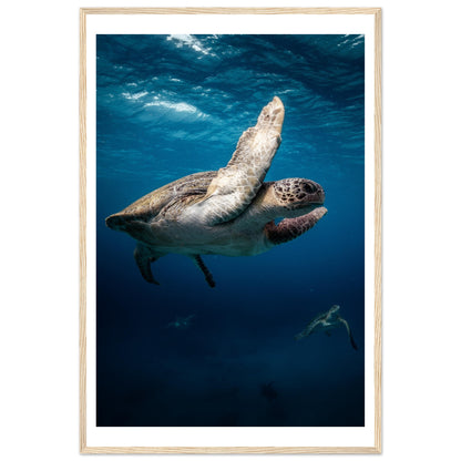 MATING SEA TURTLES - WOODEN FRAME