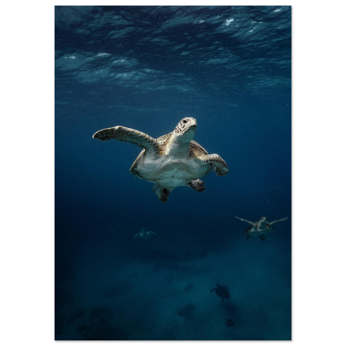 ONE FOR ALL - TURTLE ODYSSEY - MATTE POSTER