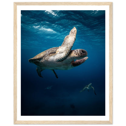 MATING SEA TURTLES - WOODEN FRAME