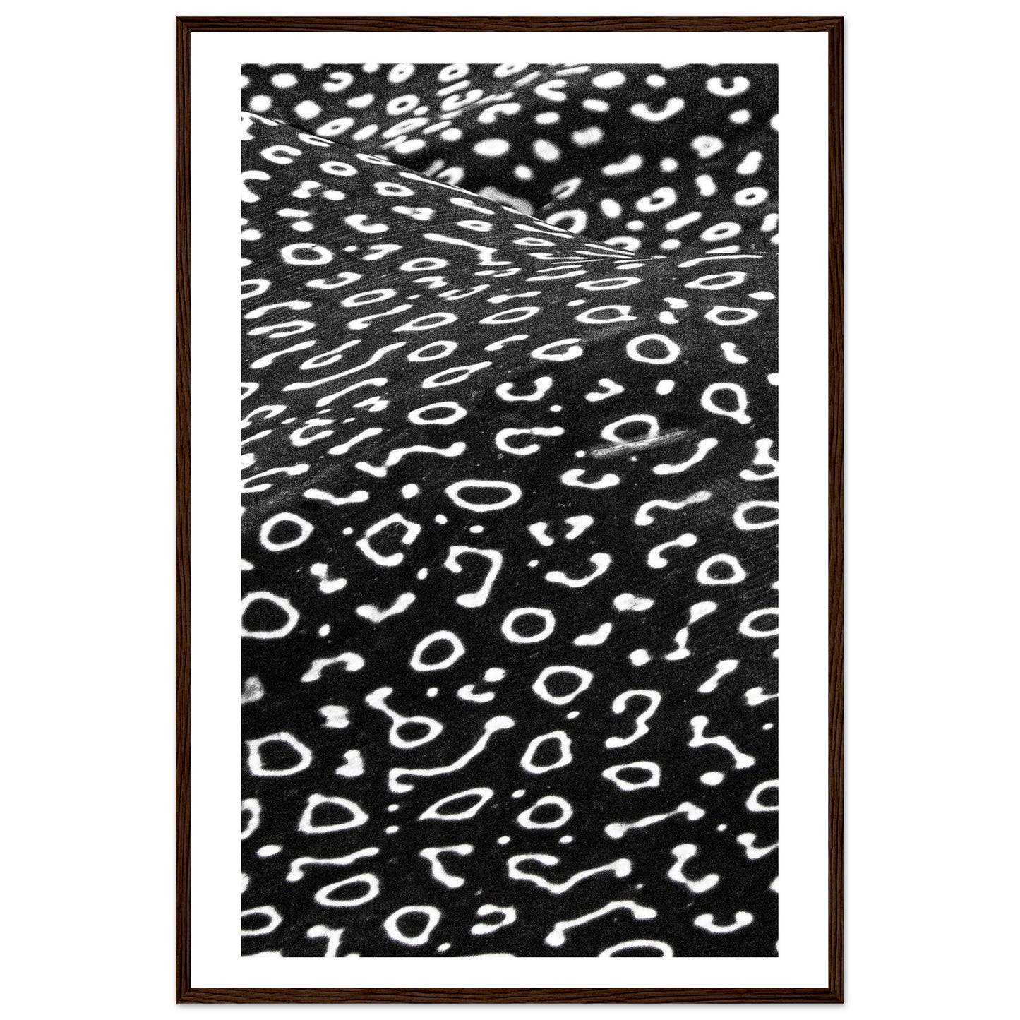 AWARD WINNER 2023 - SPOTTED EAGLE RAY PATTERN - WOODEN FRAME